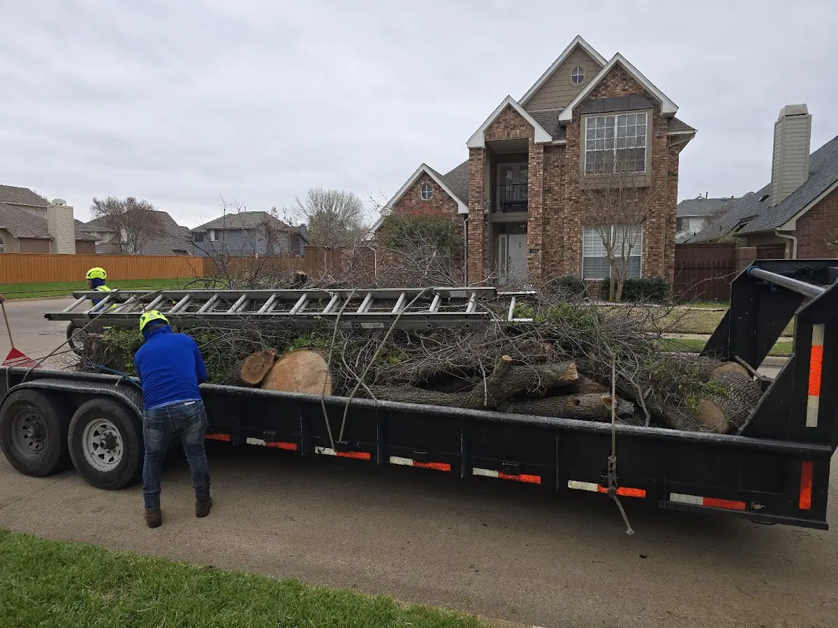 Expert Tree Fertilization with proper safety equipment in Bridgeport